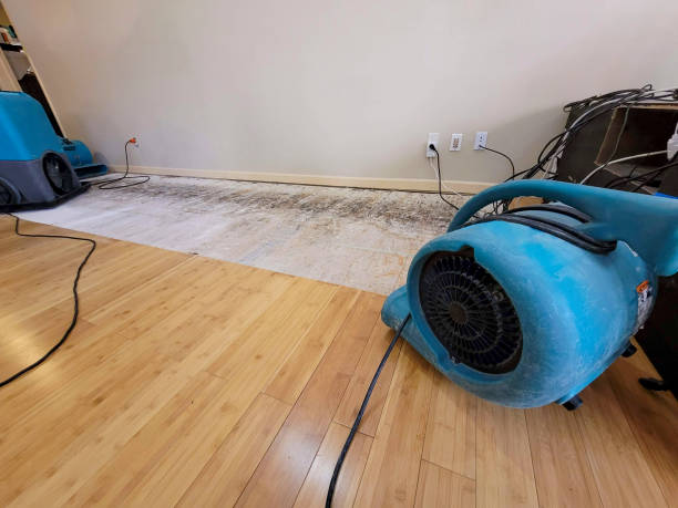 Professional Water Removal technician working in Orangeburg, NY